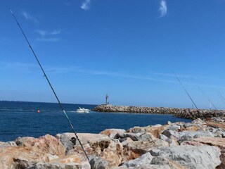 Holiday park Saint-Cyprien-Plage Environment 24