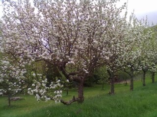 Parc de vacances Pont-de-Larn Environnement 21