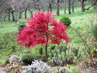 Parc de vacances Pont-de-Larn Environnement 24