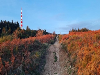 Vakantiepark Pont-de-Larn Omgeving 25