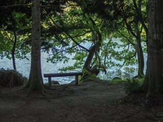 Parc de vacances Pont-de-Larn Environnement 17