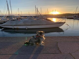 Vakantiepark Sainte-Maxime Omgeving 25