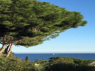 Ferienpark Sainte-Maxime Umgebung 36