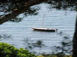 Ferienpark Sainte-Maxime Umgebung 17