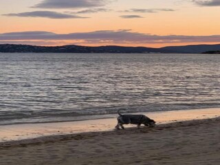 Vakantiepark Sainte-Maxime Omgeving 11