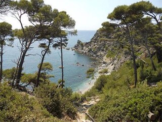 Parc de vacances Six-Fours-les-Plages Environnement 30