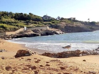 Parc de vacances Six-Fours-les-Plages Environnement 26