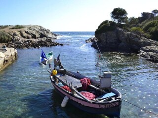Parc de vacances Six-Fours-les-Plages Environnement 29