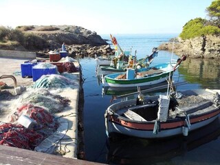 Parc de vacances Six-Fours-les-Plages Environnement 32