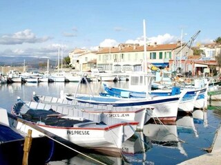 Parc de vacances Six-Fours-les-Plages Environnement 35