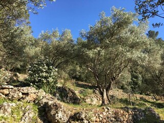 Vakantiepark Solliès-Toucas Omgeving 18