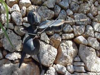 Vakantiepark Solliès-Toucas Omgeving 36