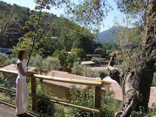 Ferienpark Solliès-Toucas Umgebung 16