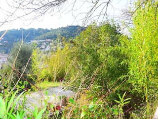 Vakantiepark Solliès-Toucas Omgeving 45