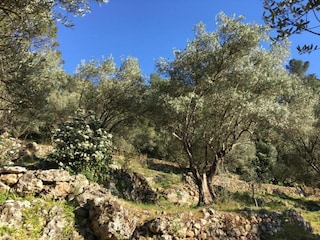 Ferienpark Solliès-Toucas Umgebung 46