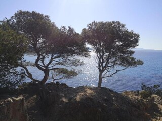 Ferienpark Cavalaire-sur-Mer Umgebung 29
