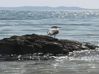 Ferienpark Cavalaire-sur-Mer Umgebung 31