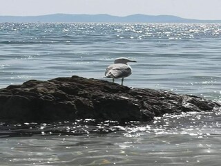 Parc de vacances Cavalaire-sur-Mer Environnement 31