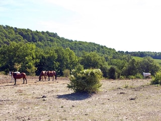 Ferienpark Fayence Umgebung 25
