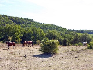 Holiday park Fayence Environment 24