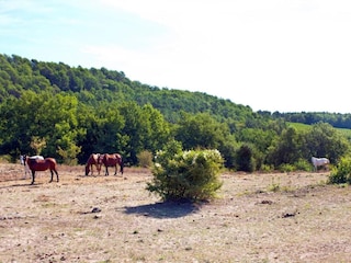 Ferienpark Fayence Umgebung 16