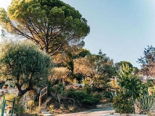 Ferienpark Callian Umgebung 21