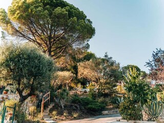 Ferienpark Callian Umgebung 17