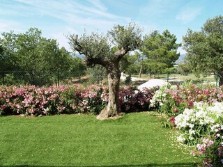 Parc de vacances Roquebrune-sur-Argens Enregistrement extérieur 5