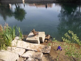 Parc de vacances L´Isle sur la Sorgue Environnement 34