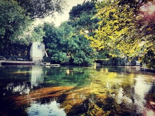 Parc de vacances L´Isle sur la Sorgue Environnement 16