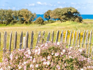 Vakantiepark Le Château-d'Olonne Omgeving 21