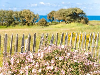 Vakantiepark Le Château-d'Olonne Omgeving 26