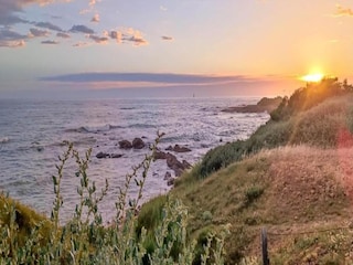 Vakantiepark Le Château-d'Olonne Omgeving 35