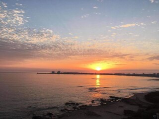 Parc de vacances Le Château-d'Olonne Environnement 25