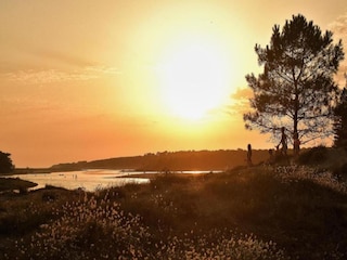 Ferienpark Le Château-d'Olonne Umgebung 25