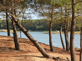 Parc de vacances Le Château-d'Olonne Environnement 28
