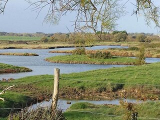 Parc de vacances Le Château-d'Olonne Environnement 32
