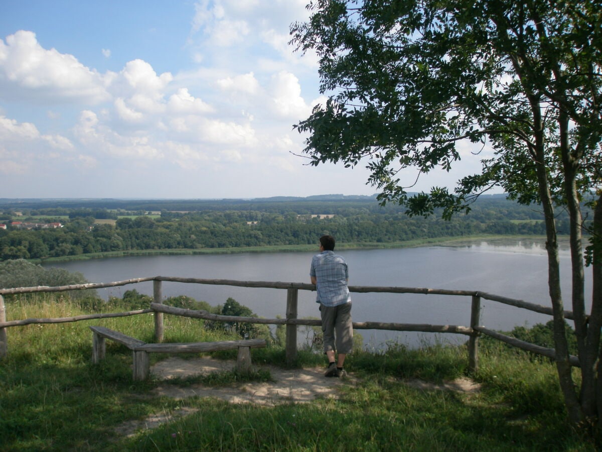 Blick auf den Oderberger See