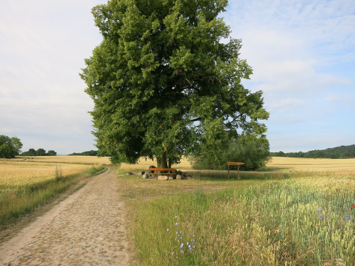 Hinter unserem Grundstück