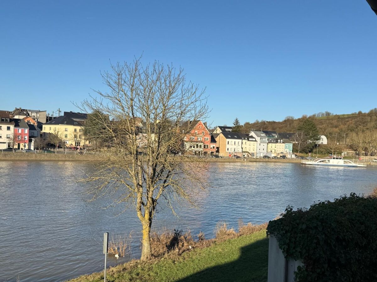 Blick auf Wasserbillig und Fähre