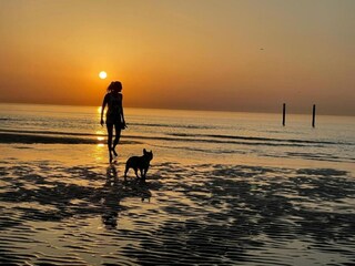 Appartamento Ostende Ambiente 37