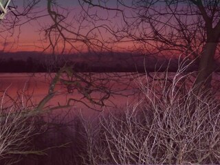 Lake in winter