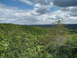 Parco vacanze Schierke Ambiente 23