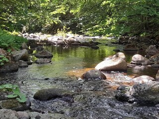Parque de vacaciones Schierke Entorno 30