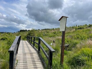 Parco vacanze Schierke Ambiente 33