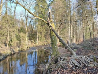 Parc de vacances Schierke Environnement 22