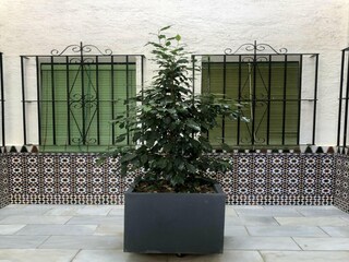 Apartment L'Escala  30