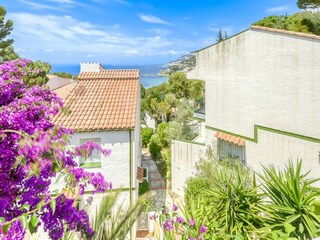 Appartement Roses Environnement 37