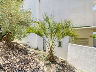 Apartment Roses Umgebung 38