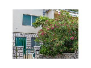 Villa Crikvenica Registrazione all'aperto 3